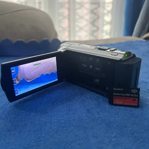 Видеокамера Sony Handycam DCR-SX44E