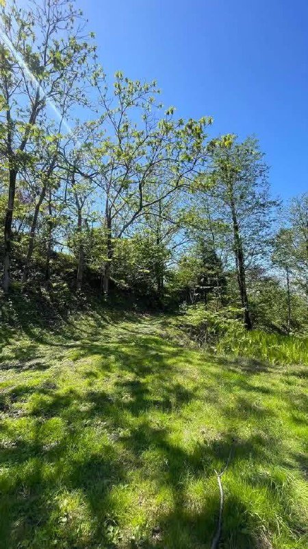 Участок 3000 м² с домом и садом в Ахалшени 7