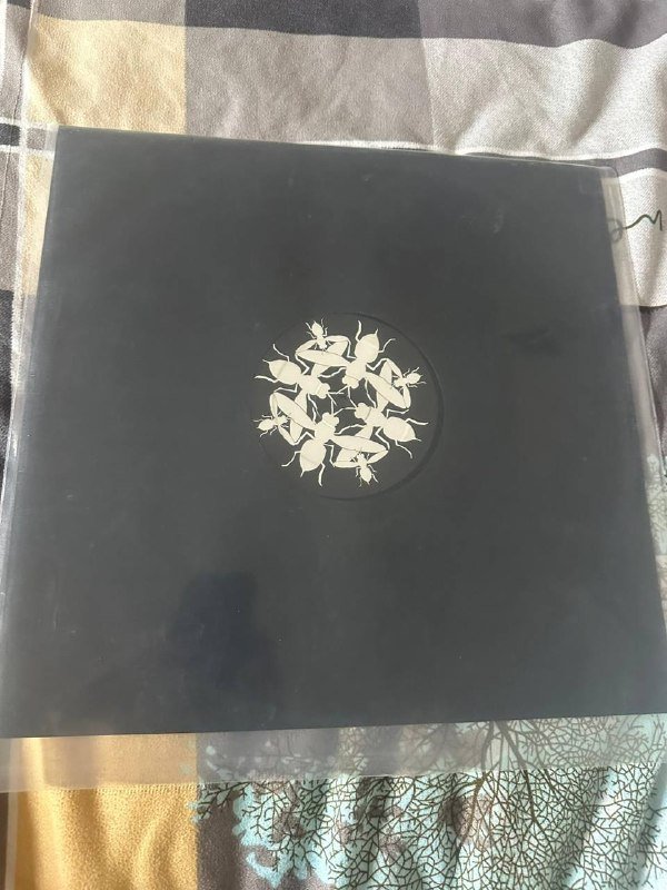 Vinyl records LPs for sale 8