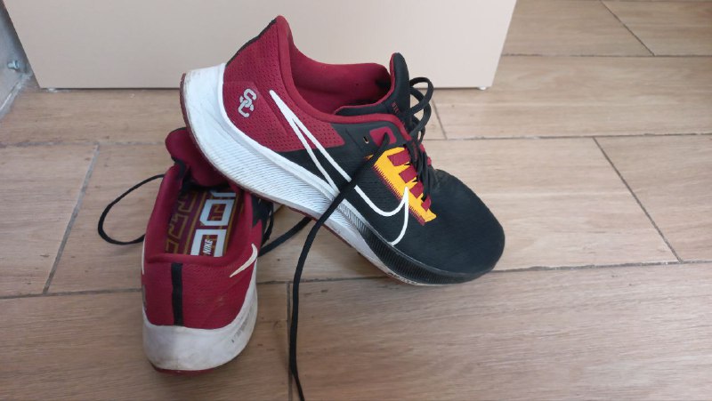 Кроссовки Nike Air Zoom Pegasus 38, размер 45.5