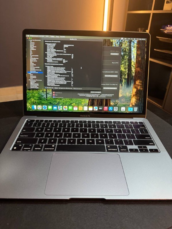 MacBook Air M1 8GB 256GB Space Gray