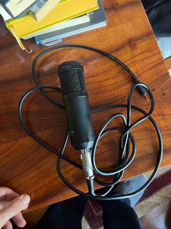 Книги и микрофон 9