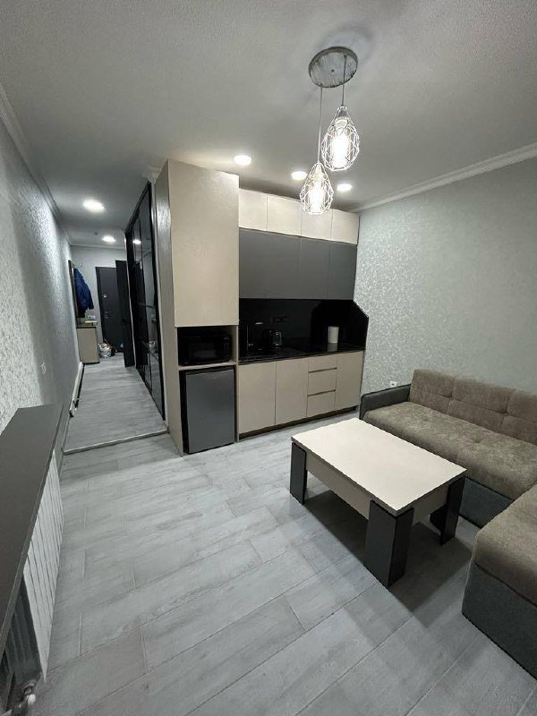 1+1 стильная квартира White House в аренду 5