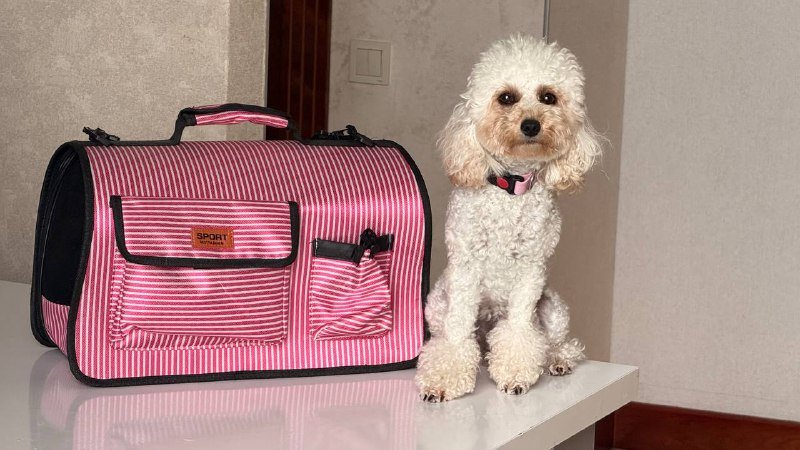 Переноска для собаки или кошки