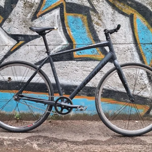 Fixed Gear bike
