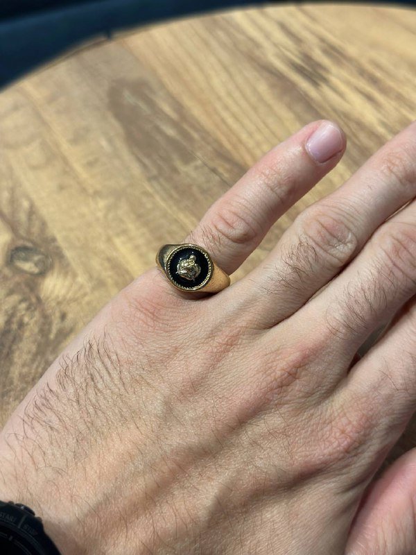 4 чехла для iPhone 14 pro max, мужское кольцо с львом 5