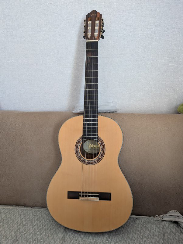 Классическая гитара Valencia VC304