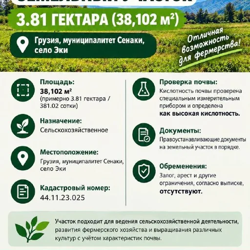 Земельный участок 3,81 га в селе Эки