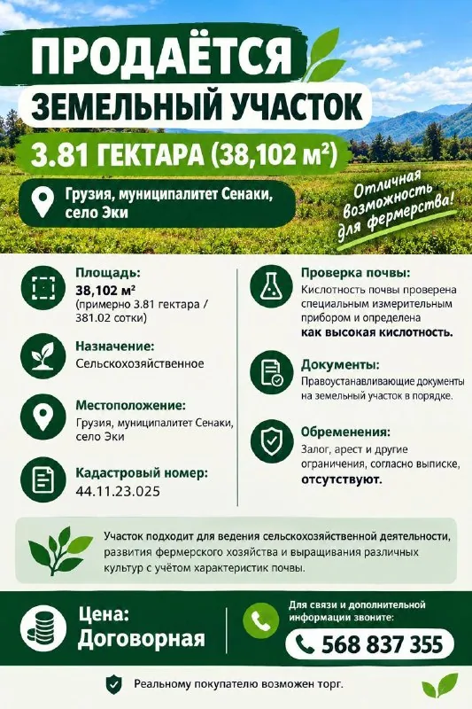 Земельный участок 3,81 га в селе Эки