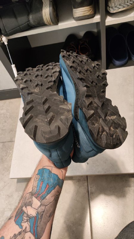 Беговые кроссовки Salomon ALPHACROSS 3 GTX мужские 2
