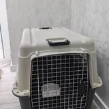 Переноска для собак Triol Premium 5