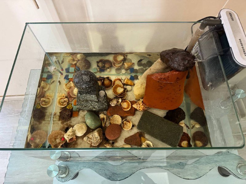 Массажер-мяч вибрирующий Theragun WaveSolo 4