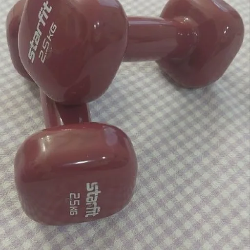 2.5 kg Dumbbells