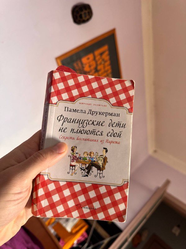 Русско-Грузинская война, История Японии, Французские дети не плюются едой 3