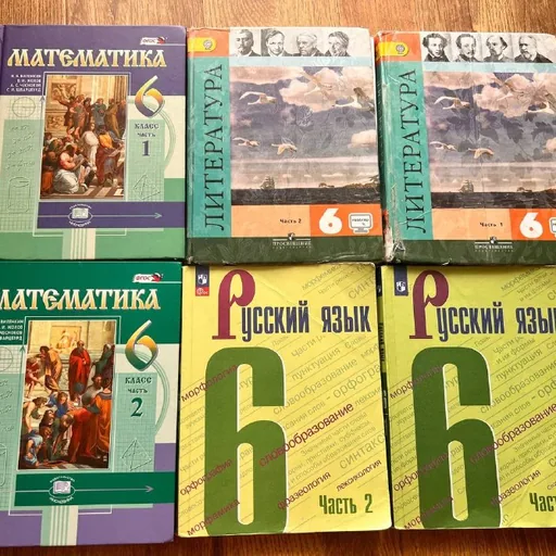 Учебники 6 класс, математика, литература, русский язык