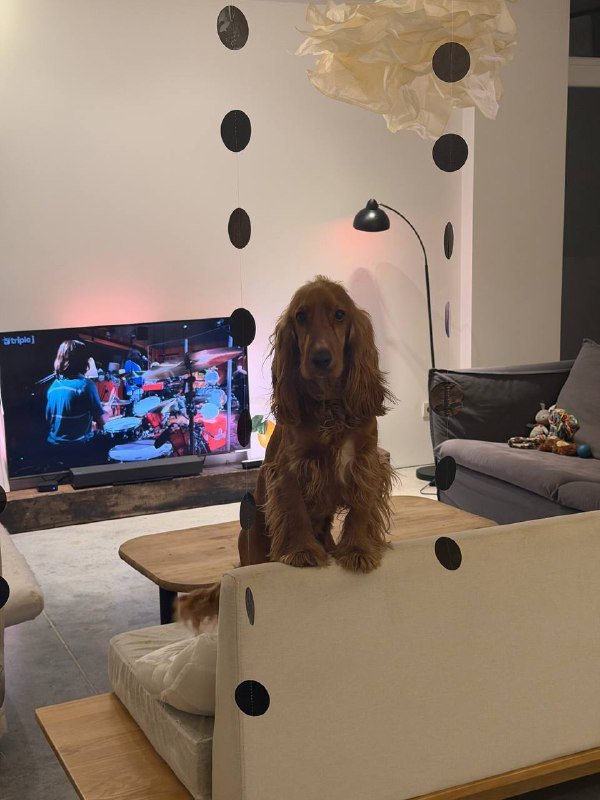 Телевизор Samsung qled 4K 65 дюймов, Саундбар Samsung HW-C400 2