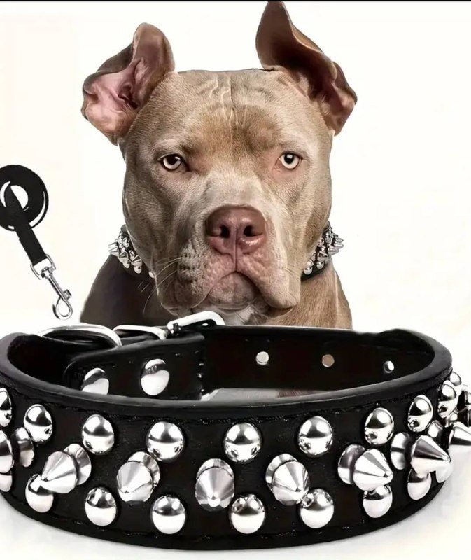 Кожаный ошейник для собак размер XXL черный