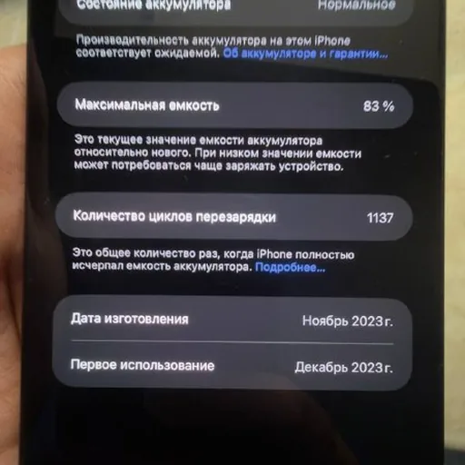 iPhone 15 Pro Max 256 GB