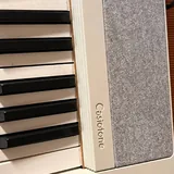 Электронное пианино Casio Casiotone 4