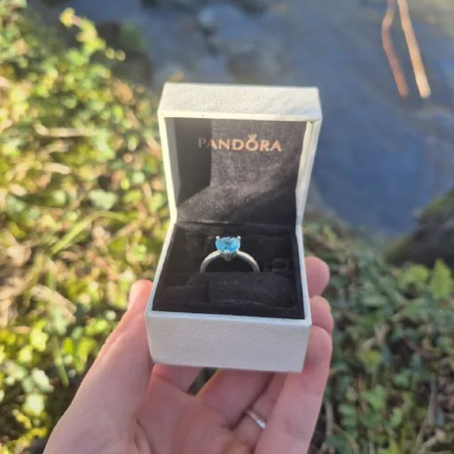 Кольцо Pandora