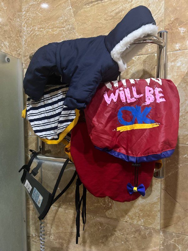 Комбинезон, дождевик, кофты для собак и кошек