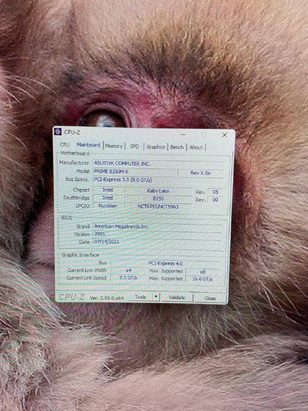 Компьютер с монитором, мышью и креслом 7