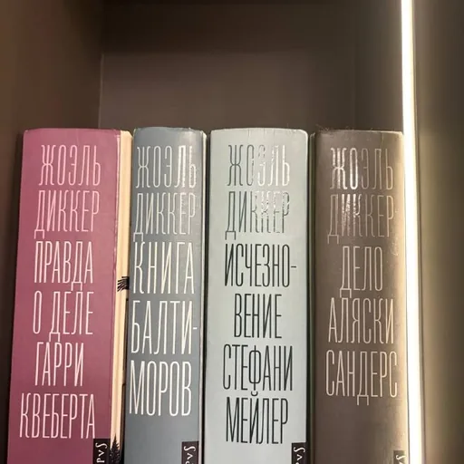 Книги Жоэль Диккер