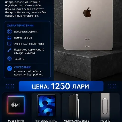 iPad Air 5 256 GB