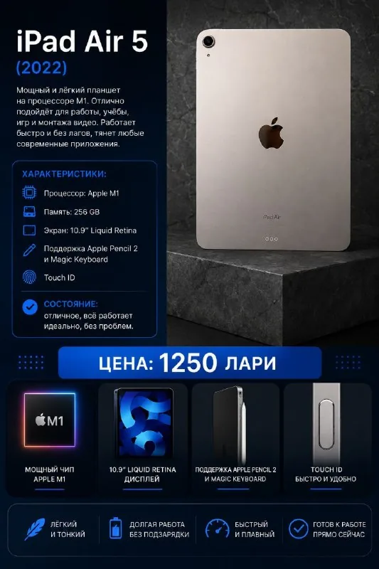 iPad Air 5 256 GB