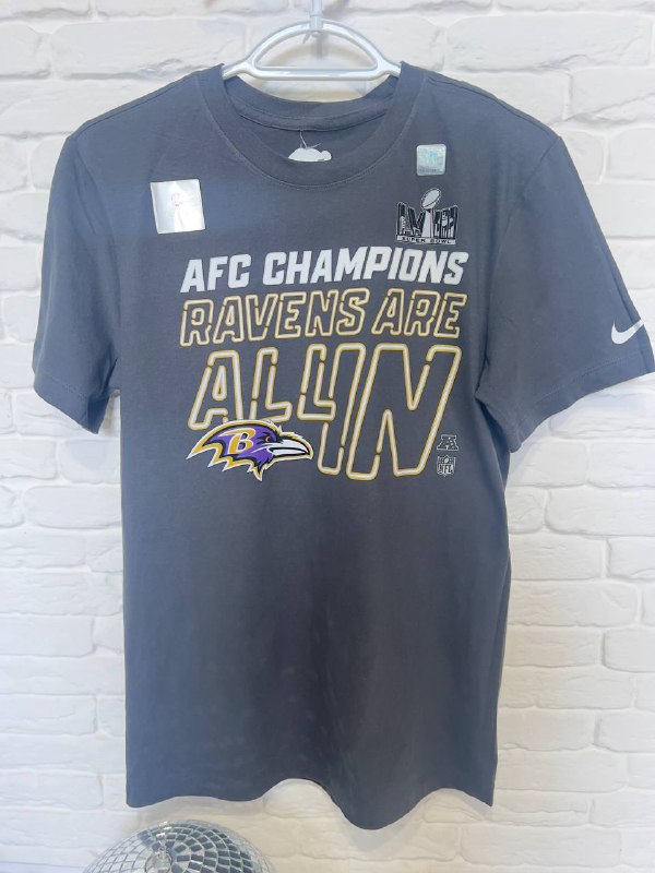 Куртка Tommy Jeans, футболки Nike, Super Bowl, UFC, шорты Skora и OAKLEY, свитшот беговой 2