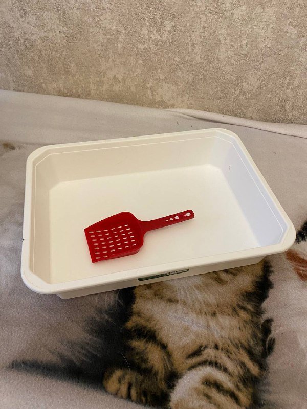 Переноска для животного, большой лоток и совочек 3