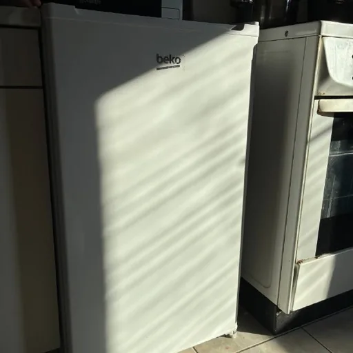 Холодильник BEKO TS190320