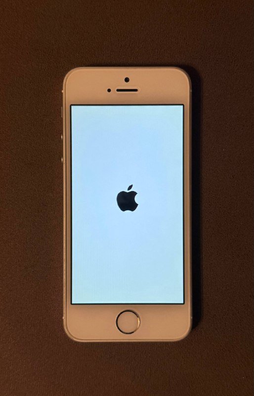 Apple iPhone 5s Silver 16GB 4