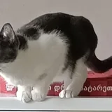 Кот Тихомир 3