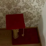 Кошачья когтеточка 1