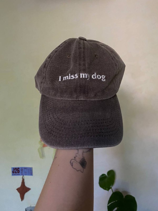 кепка Underdog с надписью i miss my dog