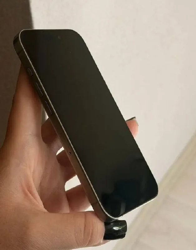 iPhone 15 Pro 256 GB, чехол 1