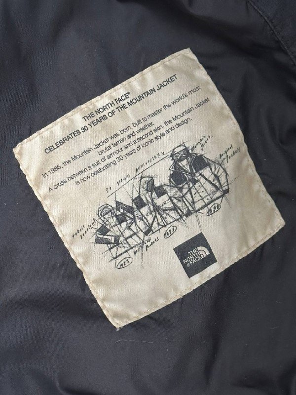 TNF Mountain jacket 2015 мужская 3