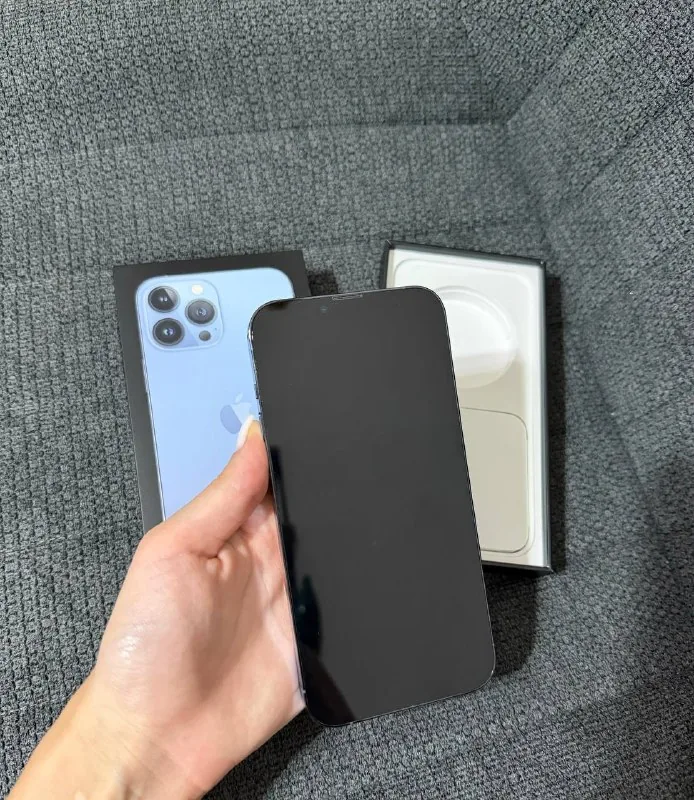 iPhone 13 Pro Max 256 GB 1