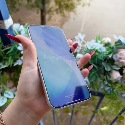 iPhone 17 Pro Max, 256 GB, Silver