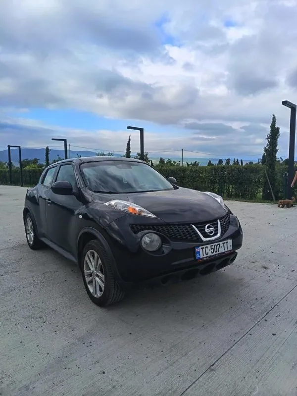 Nissan Juke 2013