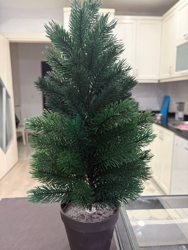 Переноска для кота, фурминатор