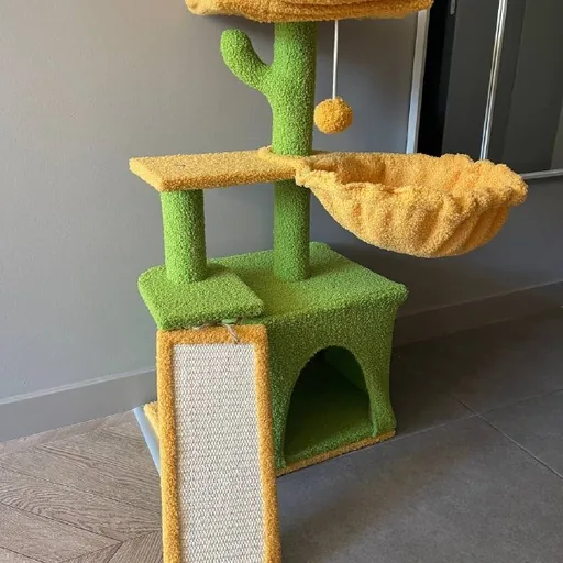Кошачий дом