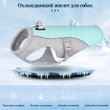 Охлаждающий жилет для собаки 1
