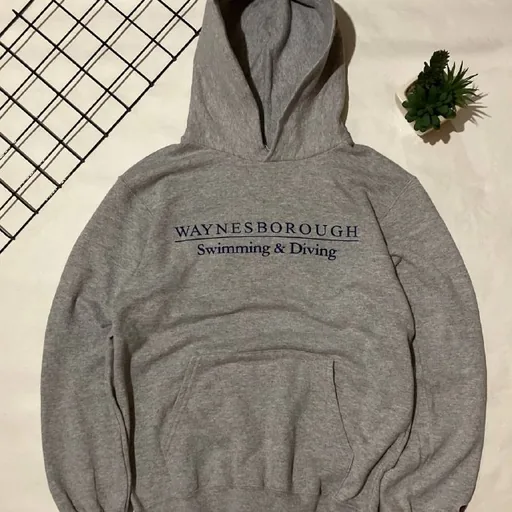 Champion hoodie