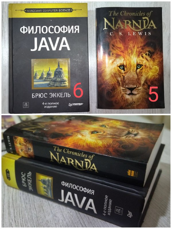 Книги для детей, подростков и профессиональная литература 2
