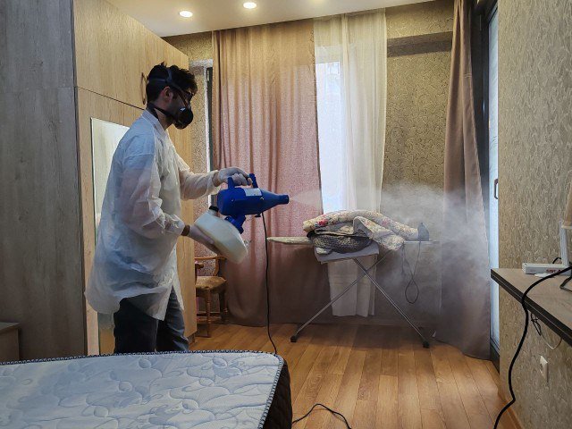 პესტ კონტროლი, დეზინსექციის მომსახურება 2