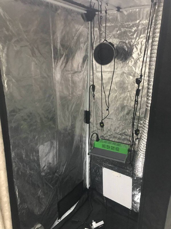 тент PROBOX ECOPRO, свет ViparSpectra P600, вытяжка, осушитель воздуха, умные розетки 2