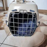 Товары для кота, когтеточка, переноска, лоток, набор для гигиены 2