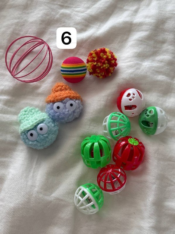 Переноска, коврик-лежанка, когтеточка, игрушка, свитер, набор игрушек, паровая щетка, совок, горшок 6